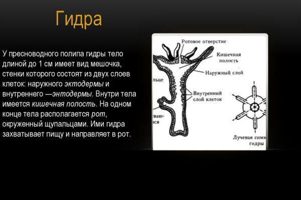 Как зайти на кракен браузеры