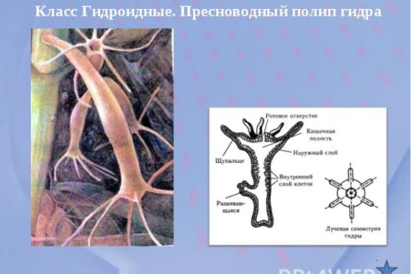 Кракен маркетплейс актуальные ссылки